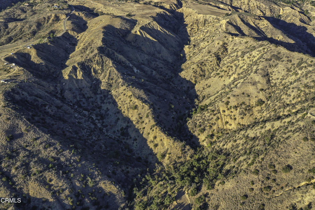 MLS #V1-32431 image #4