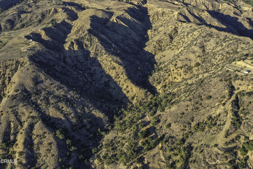 MLS #V1-32431 image #5