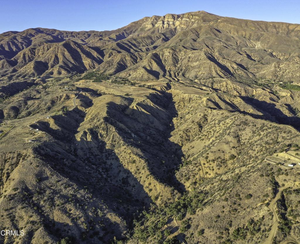 MLS #V1-32431 image #6