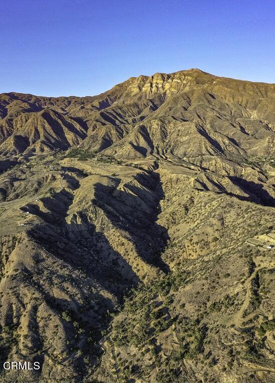 MLS #V1-32431 image #7