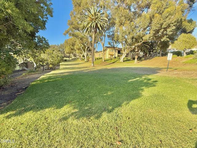 MLS #V1-32465 image #16