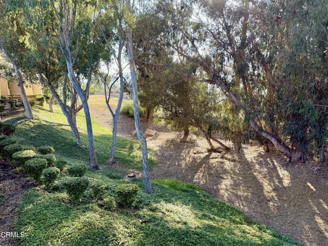 MLS #V1-32465 image #19