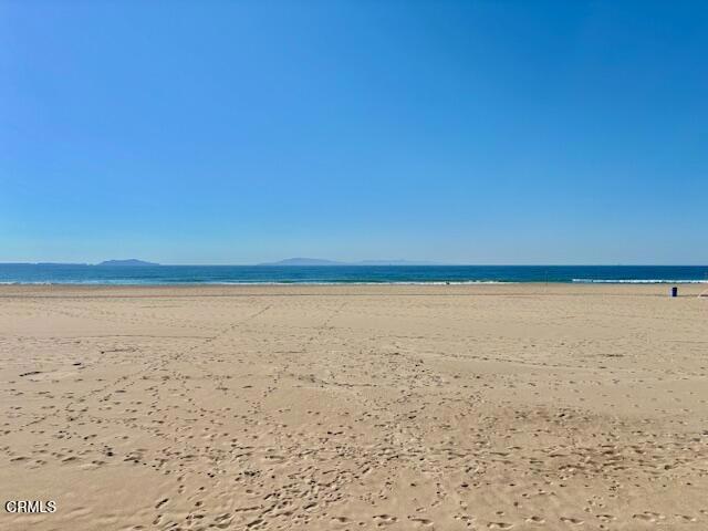 MLS #V1-32527 image #12