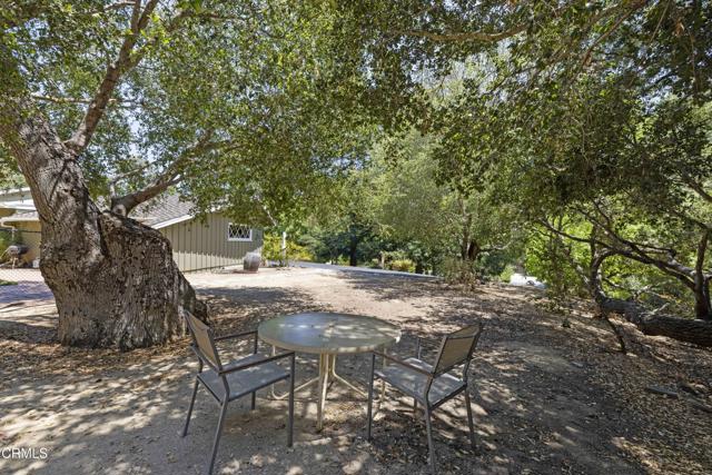 MLS #V1-32547 image #46