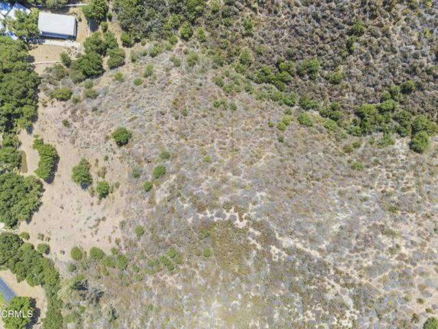 MLS #V1-32547 image #50