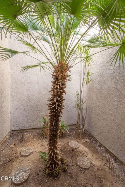 MLS #V1-32570 image #14