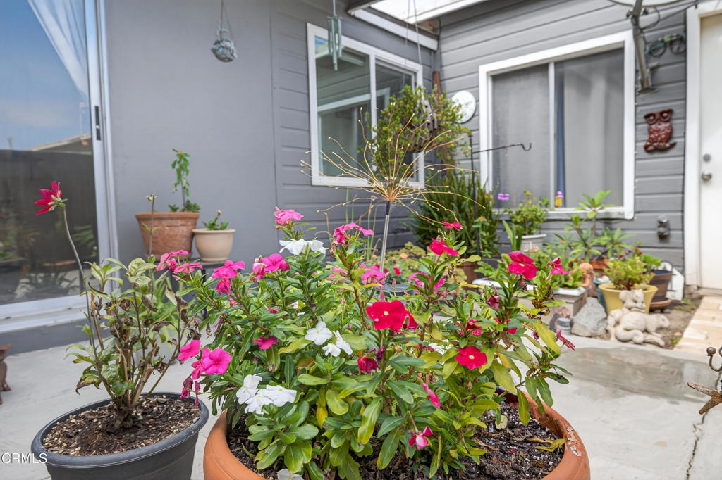 MLS #V1-32583 image #7