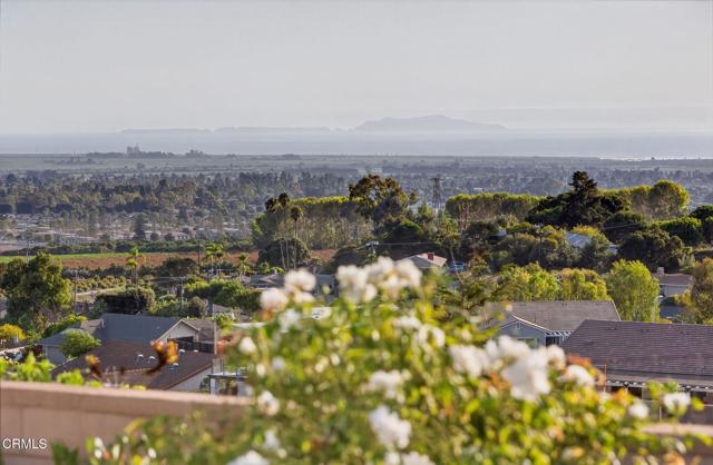 MLS #V1-32594 image #41