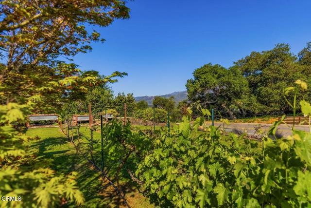 MLS #V1-32596 image #17