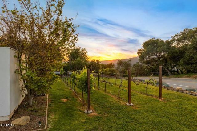 MLS #V1-32596 image #7