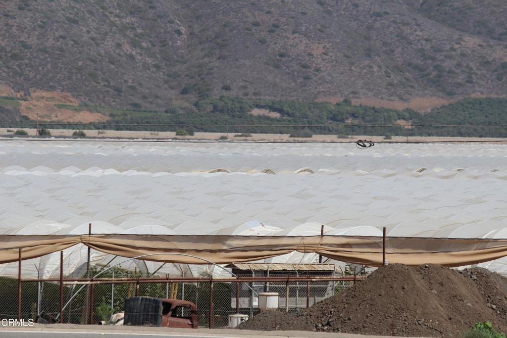 MLS #V1-32620 image #11