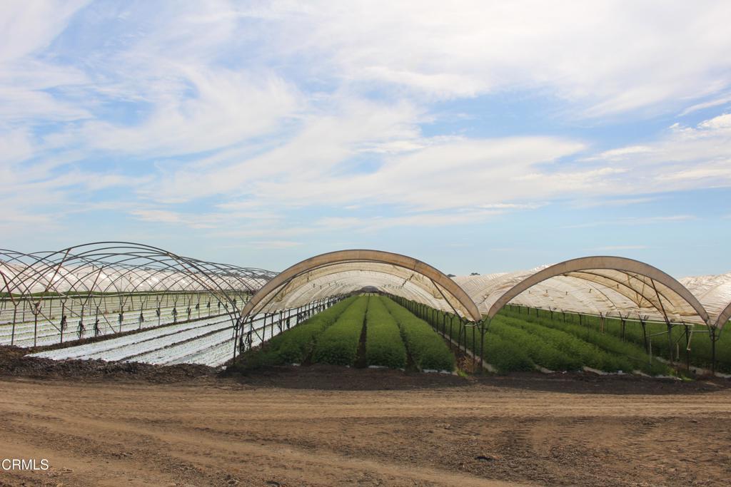 MLS #V1-32620 image #14