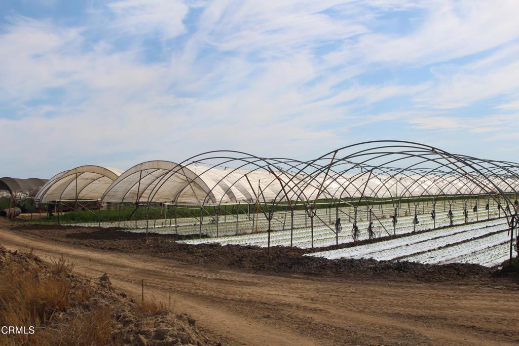 MLS #V1-32620 image #15