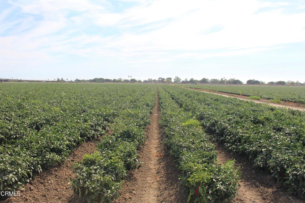 MLS #V1-32620 image #16