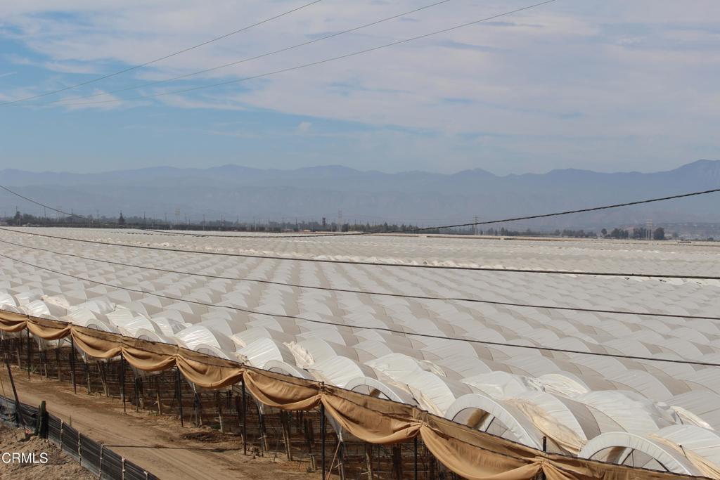 MLS #V1-32620 image #4