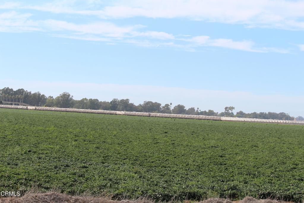 MLS #V1-32620 image #5