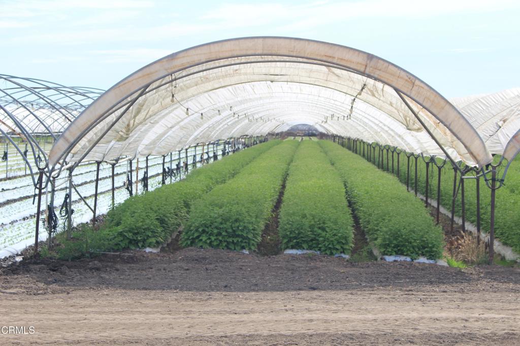 MLS #V1-32620 image #6