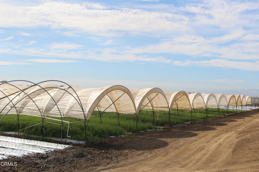 MLS #V1-32620 image #7