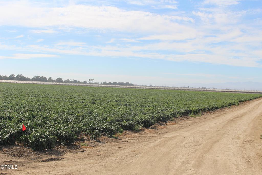 MLS #V1-32620 image #9