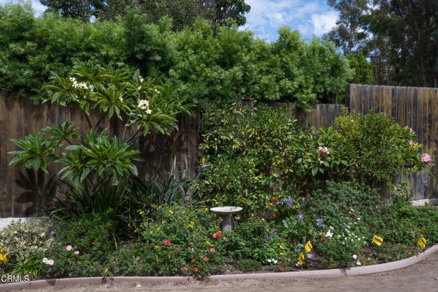 MLS #V1-32662 image #39