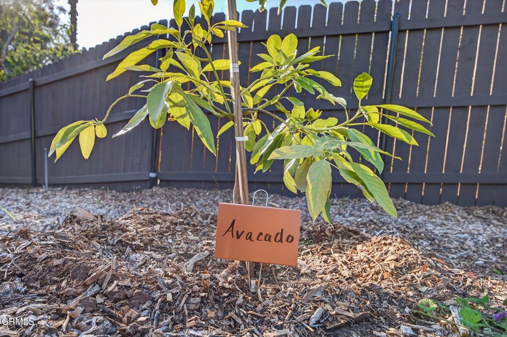 MLS #V1-32671 image #61