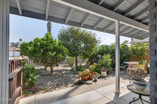 MLS #V1-27808 image #4