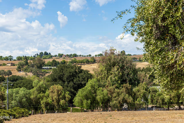 MLS #V1-32702 image #25