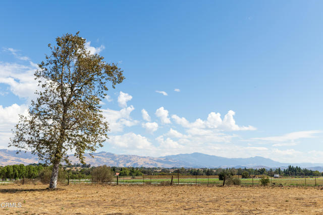 MLS #V1-32702 image #26