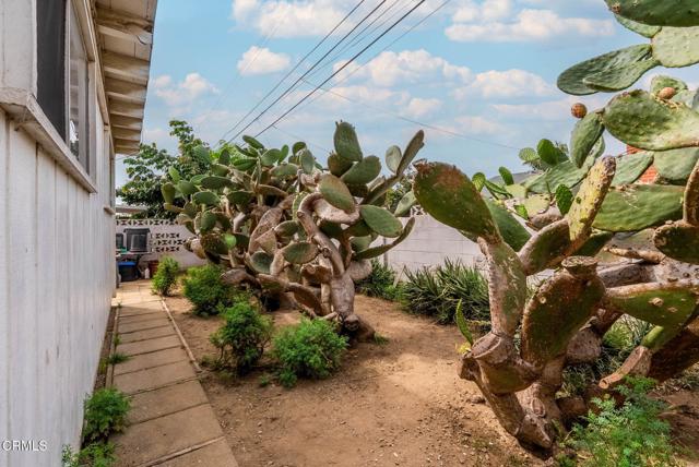 MLS #V1-32711 image #8