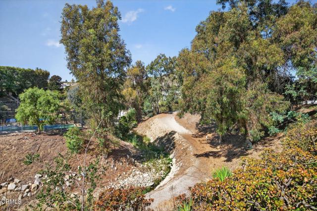 MLS #V1-32773 image #23