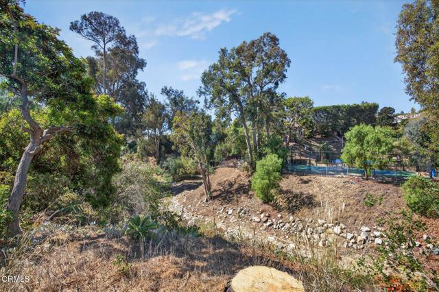 MLS #V1-32773 image #24