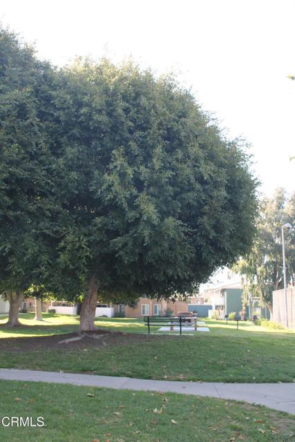 MLS #V1-32830 image #22