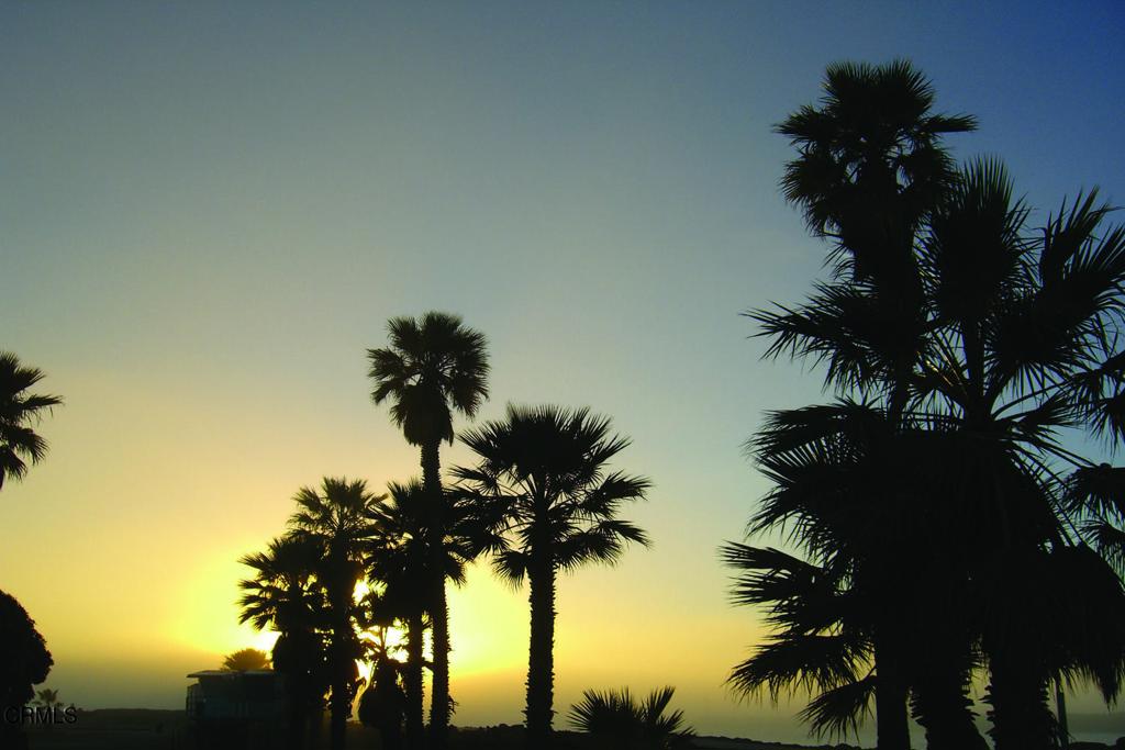 MLS #V1-32850 image #33