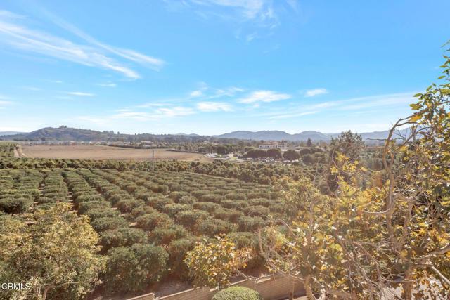 MLS #V1-32878 image #10