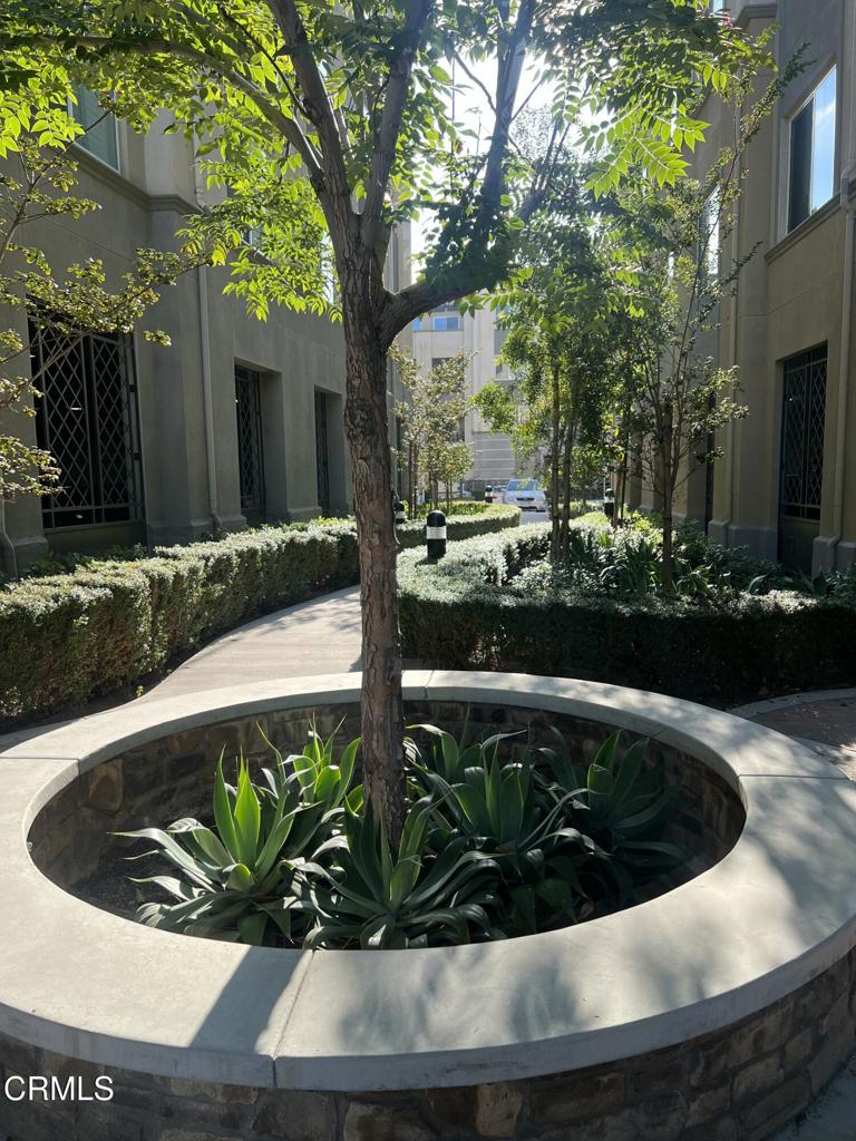 MLS #V1-32885 image #4