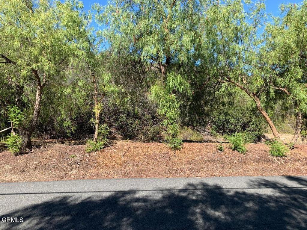 MLS #V1-32897 image #2