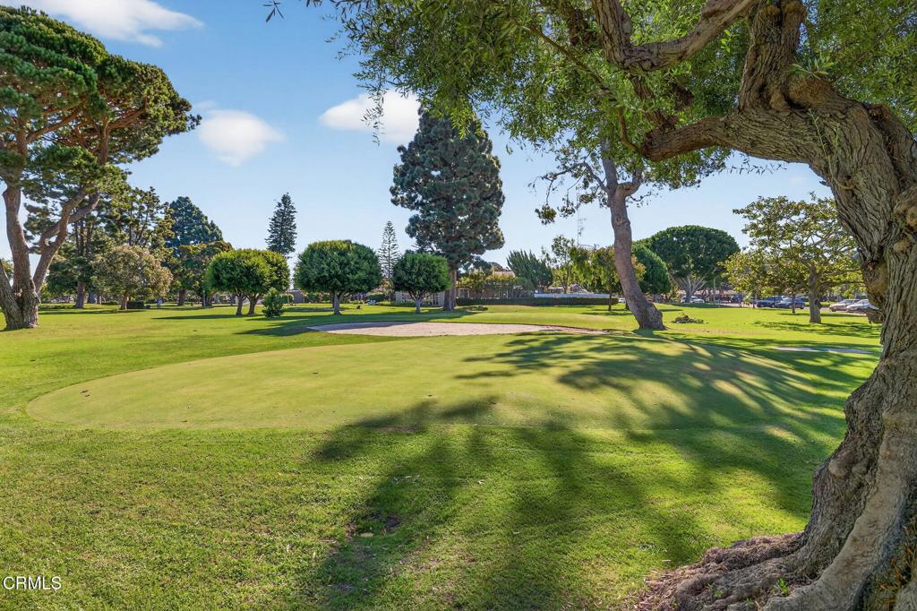 MLS #V1-32975 image #41