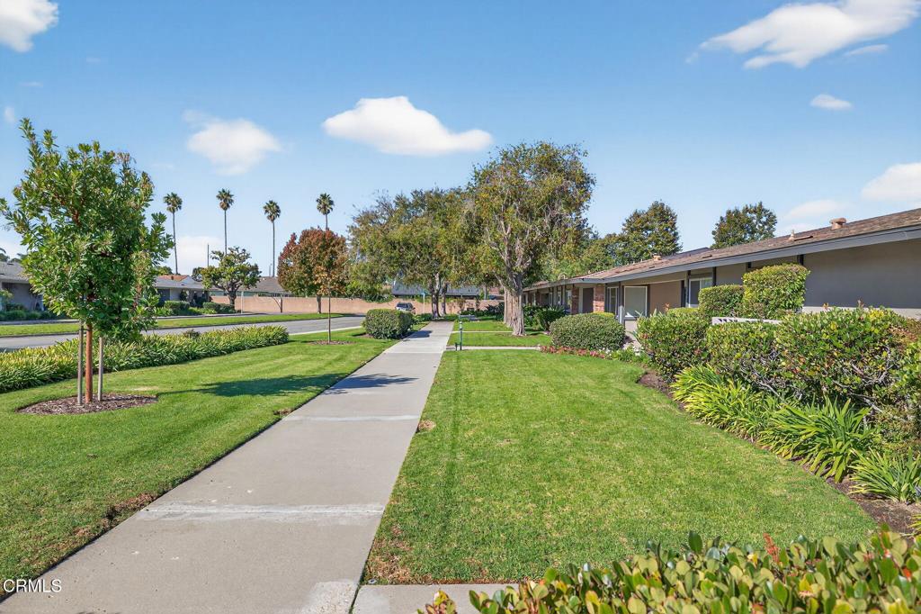 MLS #V1-32975 image #6