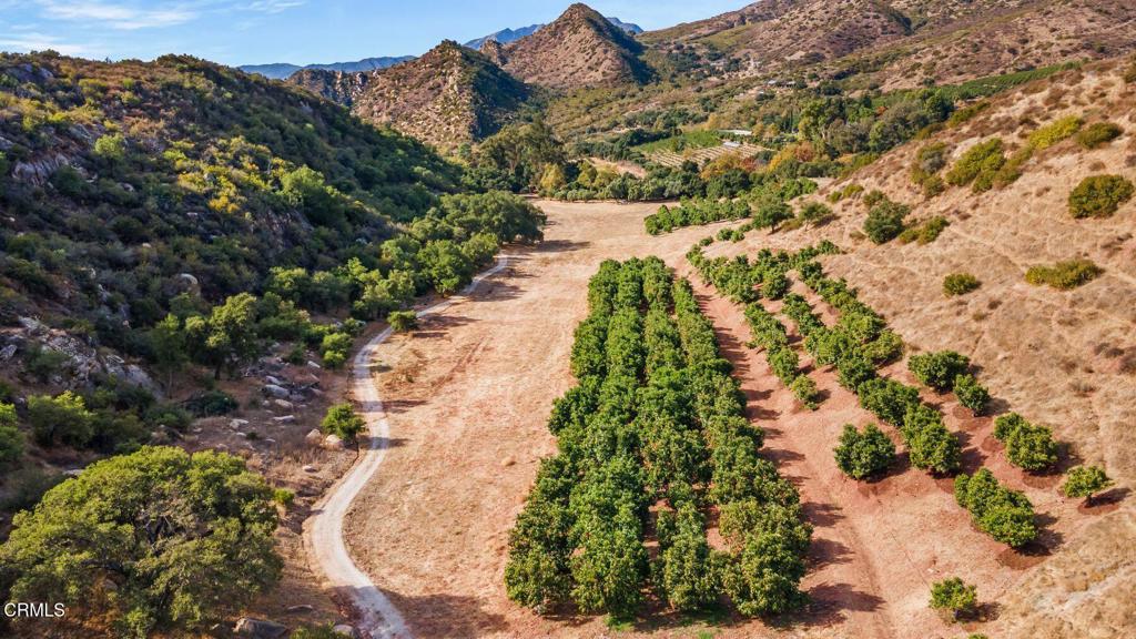 MLS #V1-32999 image #3