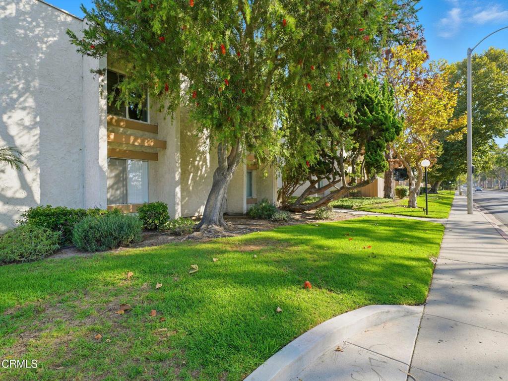 MLS #V1-33008 image #12