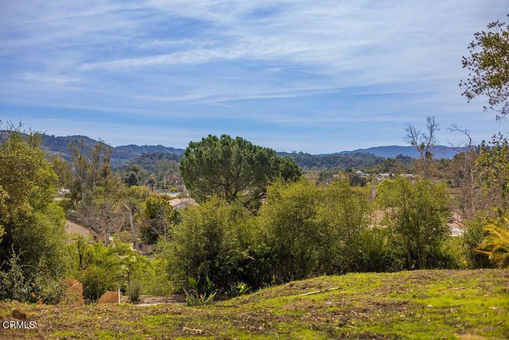 MLS #V1-33024 image #6