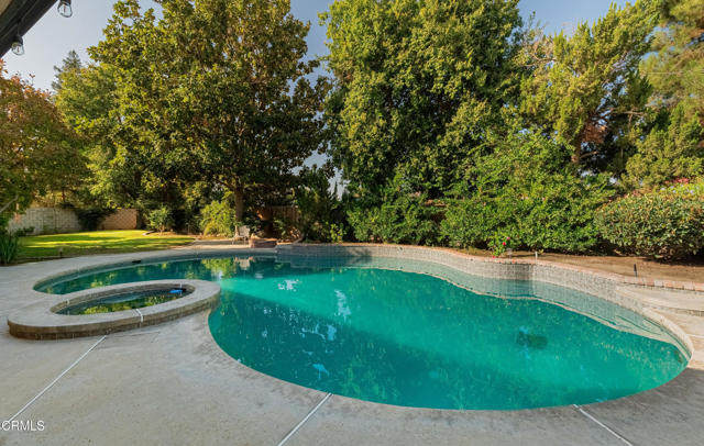 MLS #V1-33041 image #45