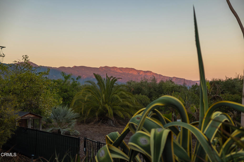 MLS #V1-33043 image #18