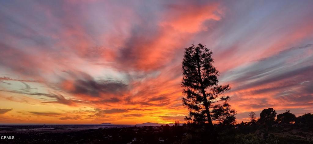 MLS #V1-33052 image #25