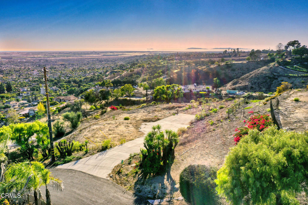 MLS #V1-33052 image #4