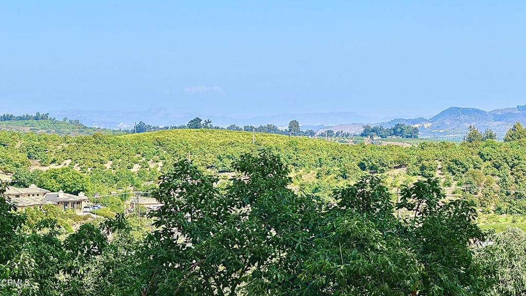 MLS #V1-33063 image #0