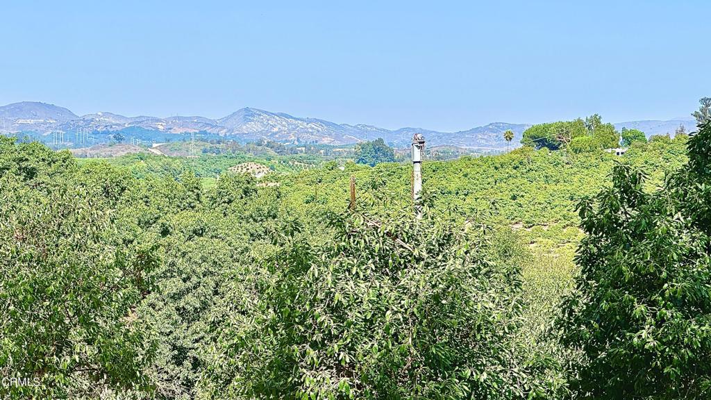 MLS #V1-33063 image #2