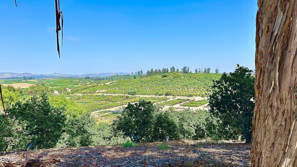 MLS #V1-33063 image #3