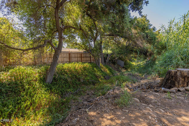 MLS #V1-33069 image #24