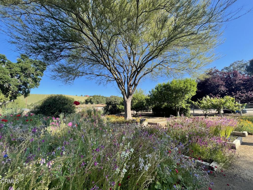 MLS #V1-33095 image #59